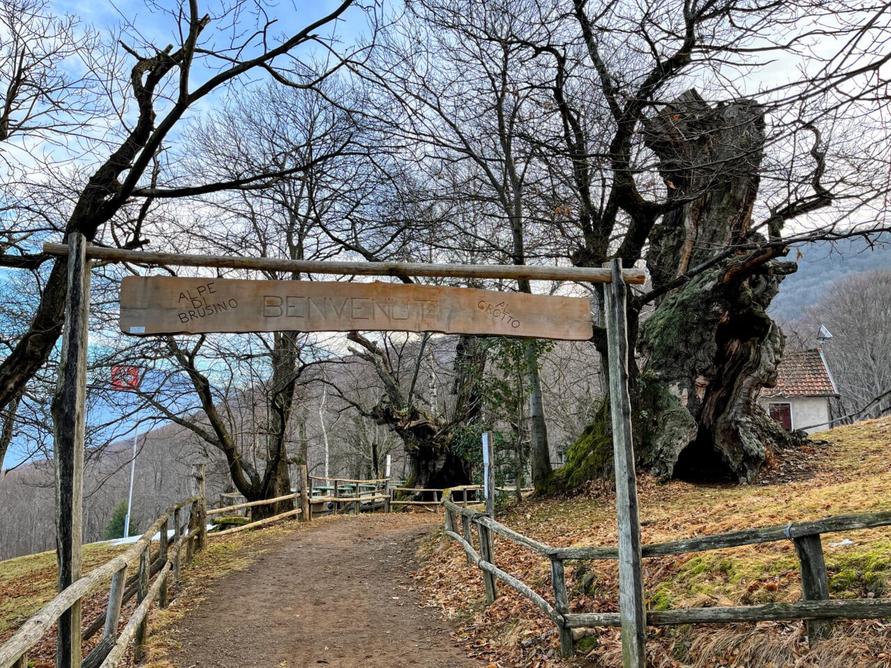 wanderung_transswiss_etappen_29_bis_32_bellinzona_mendrisio_