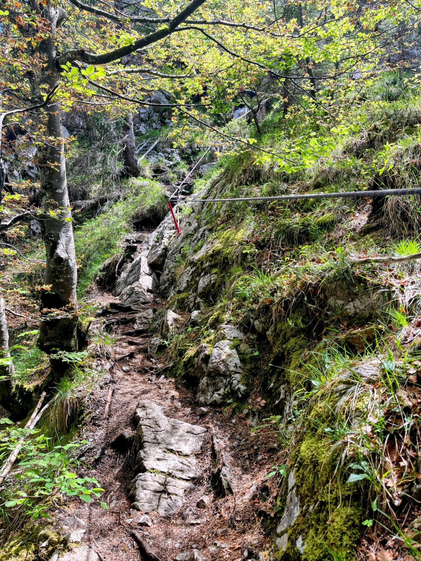 wanderung_brunnen_urmiberg_schwand_stockflue_
