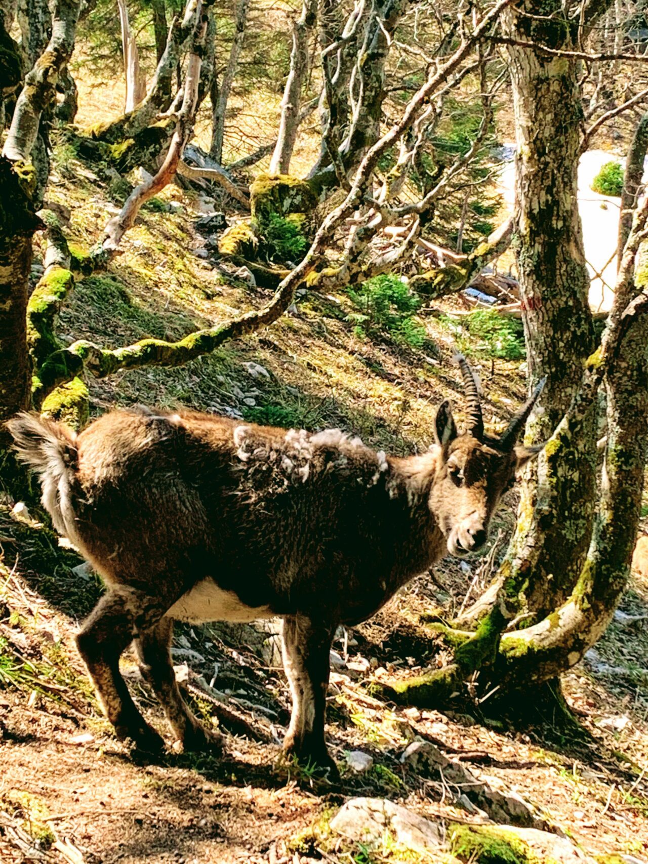 wanderung_creux_du_van_