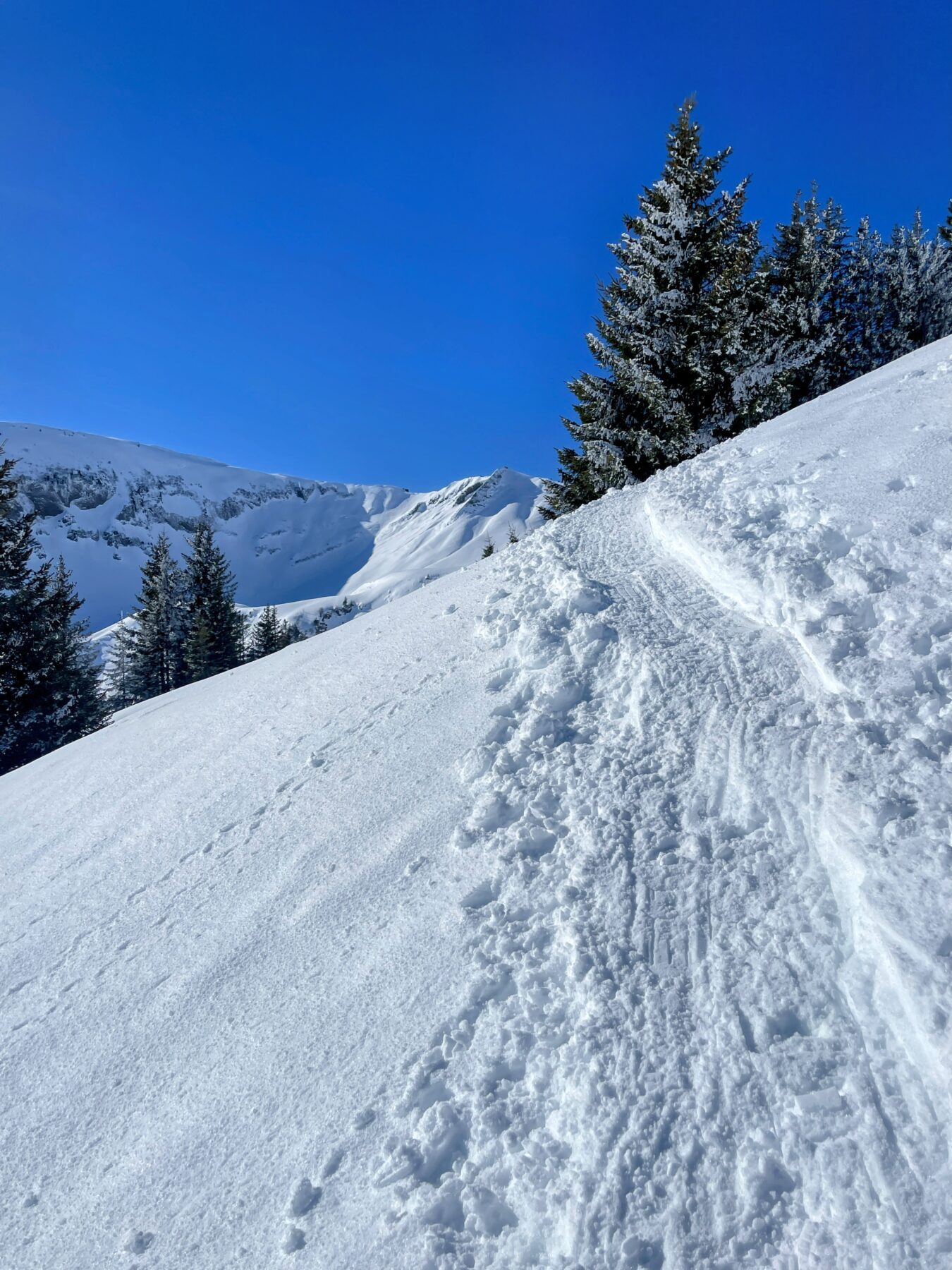 schneeschuhwanderung_turren_schoenbuehl_hoech_gumme_