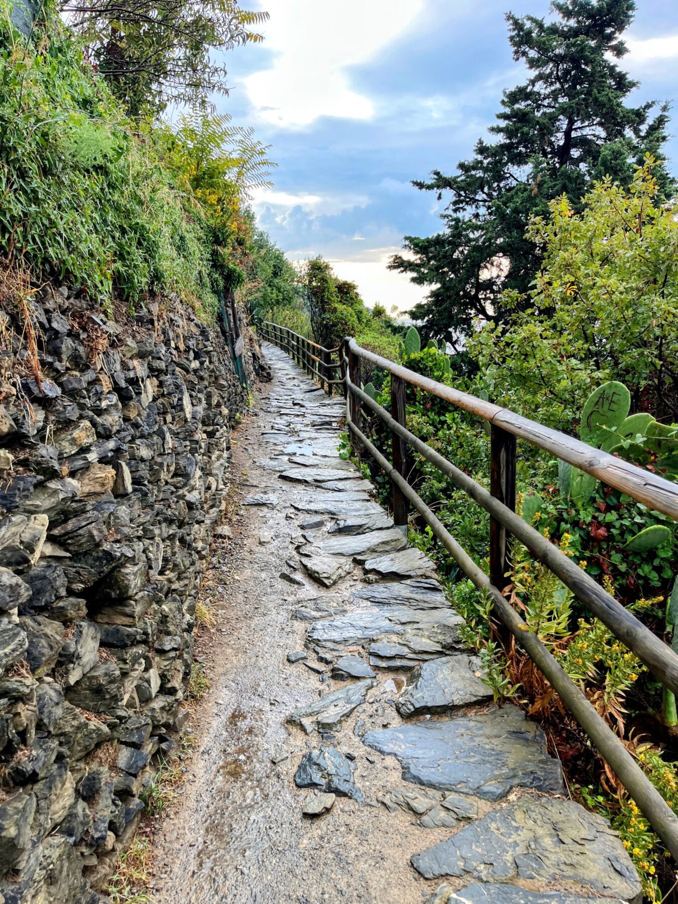 wandern_cinque_terre_