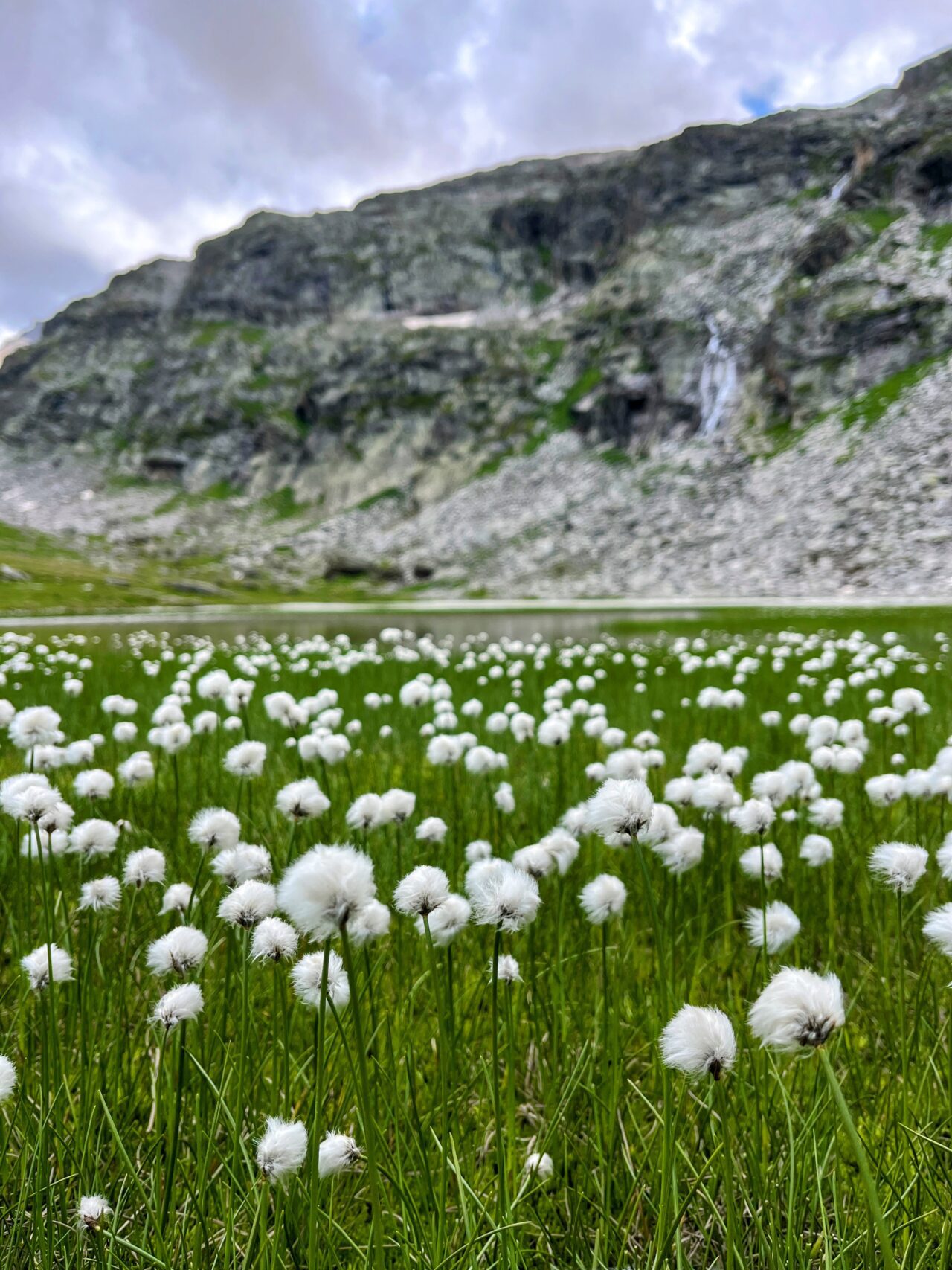wanderung_mattmark_ze_seewjinu_