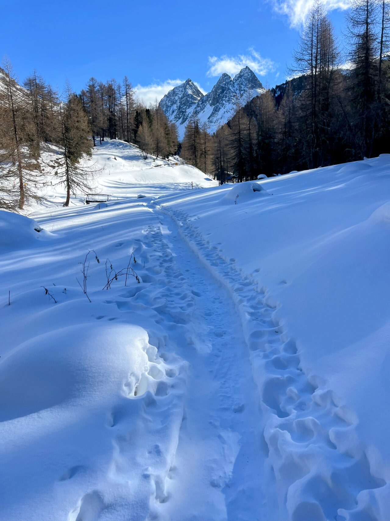 schneeschuhwanderung_preda_albulapass_punt_
