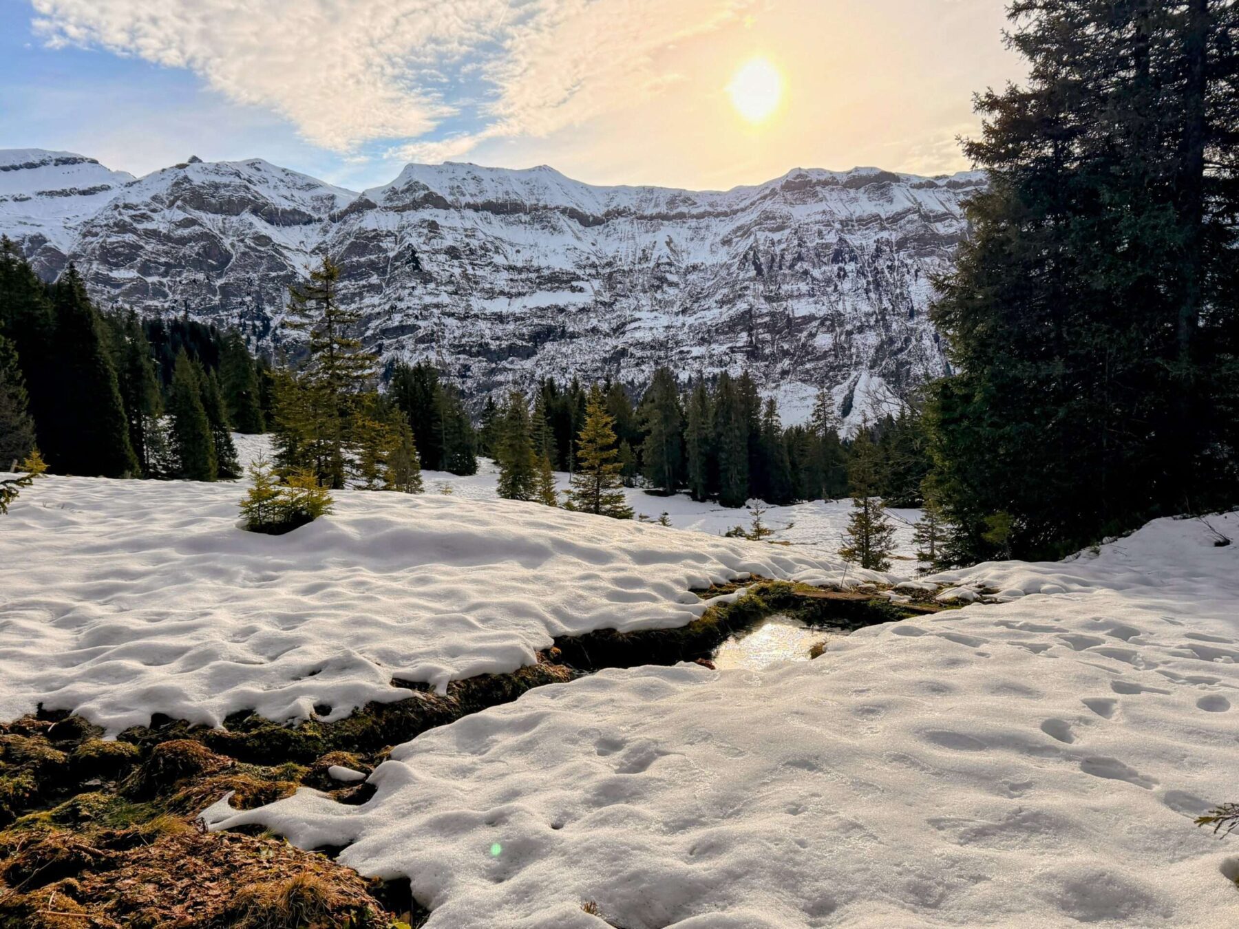 schneeschuhtour_matt_weissenberge_sunnenhöreli_