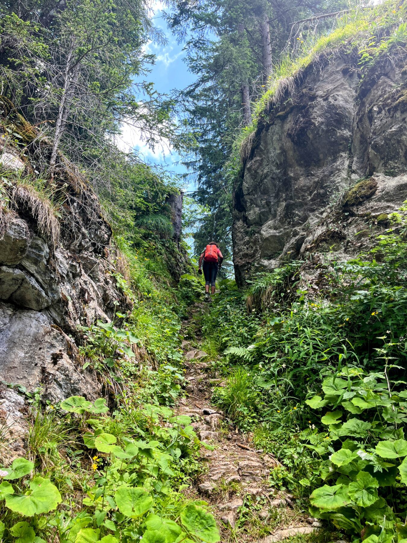 wanderung_cufercalhütte_