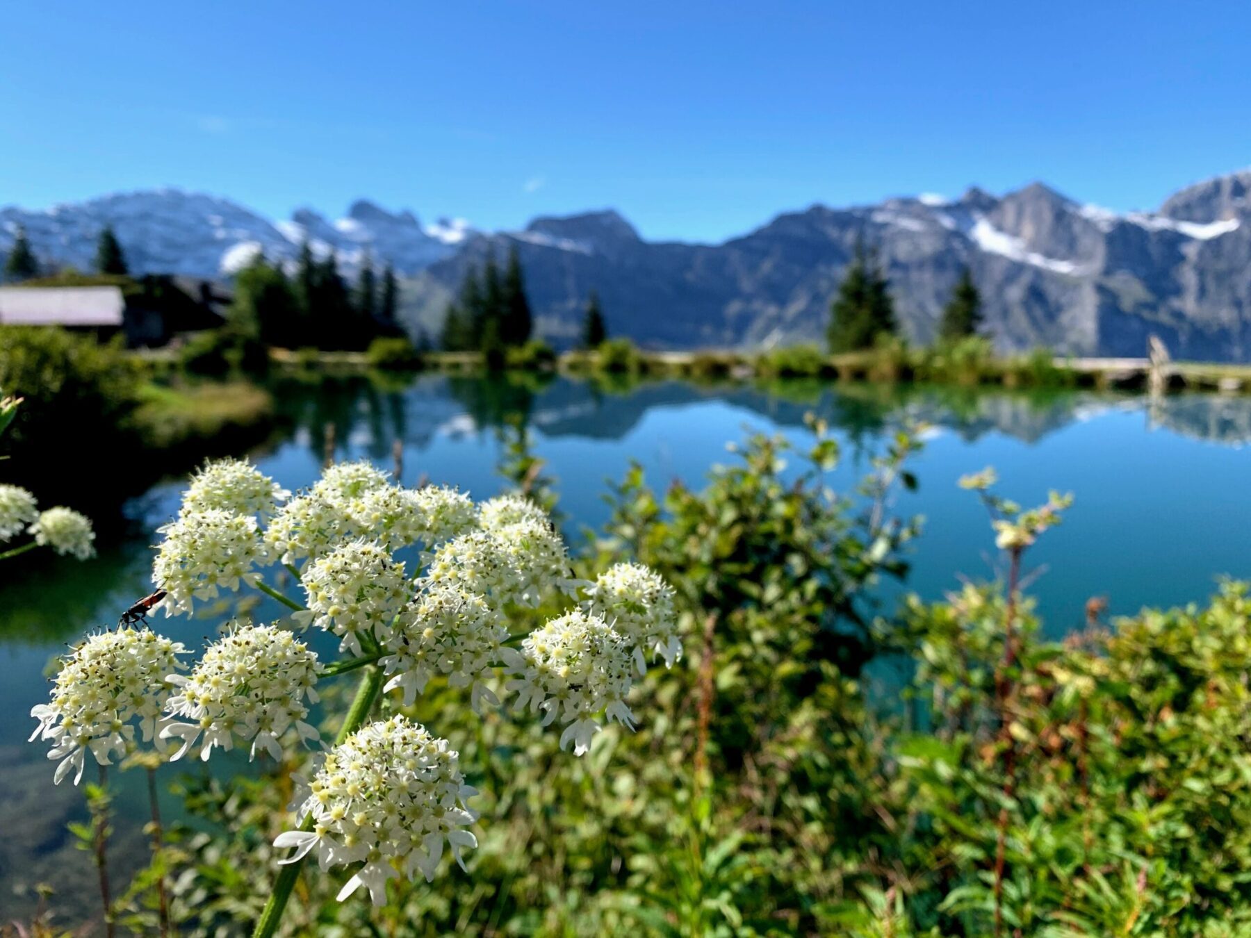 wanderung_brunnihuette_