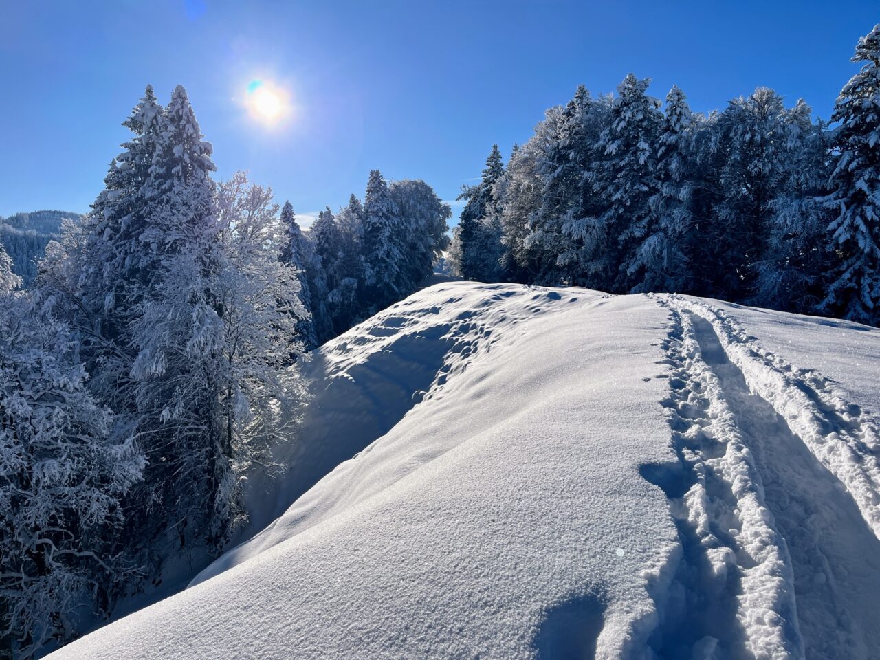 schneeschuhwanderung_rothenthurm_ahoren_biberbrugg__IMG_2421