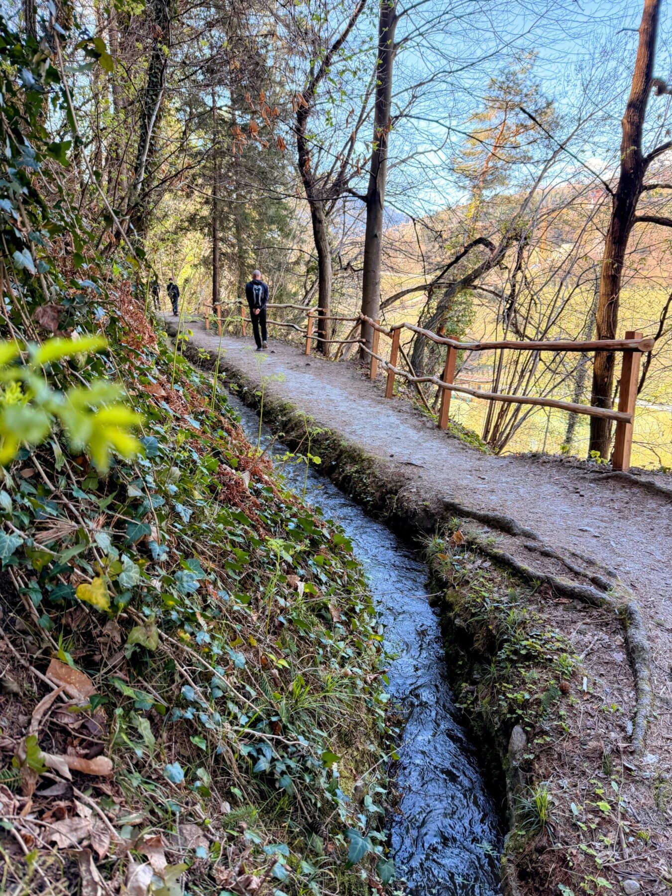 wanderung_maiser_waalweg_tappeinerweg_dorf_tirol_