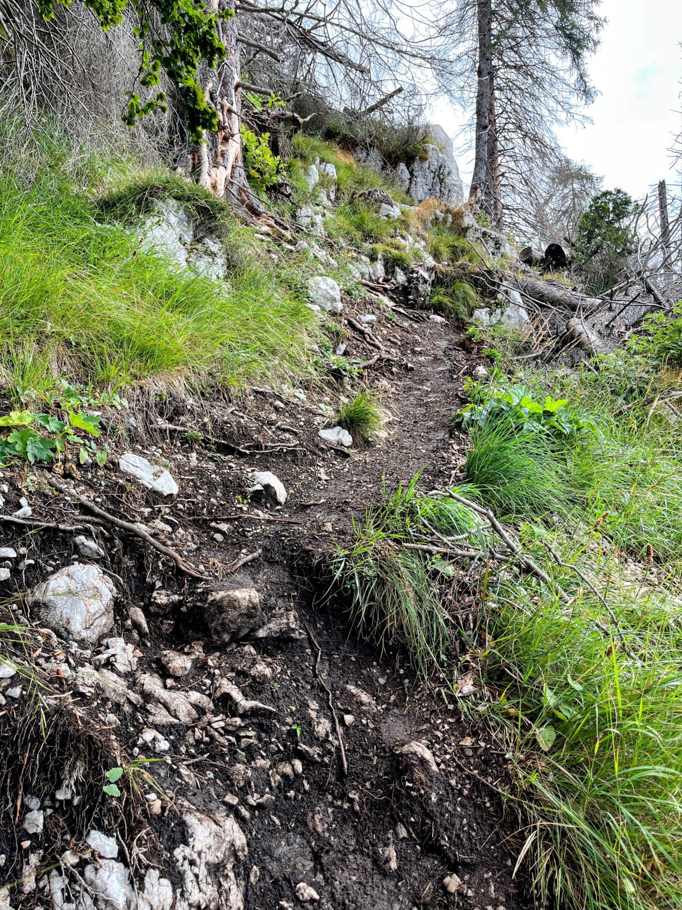wanderung-croz-dell-altissimo-