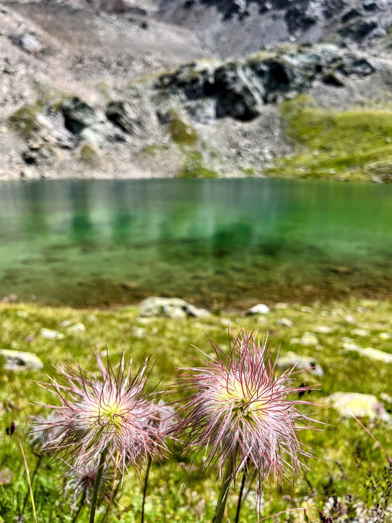 wanderung_alp_languard_piz_languard_