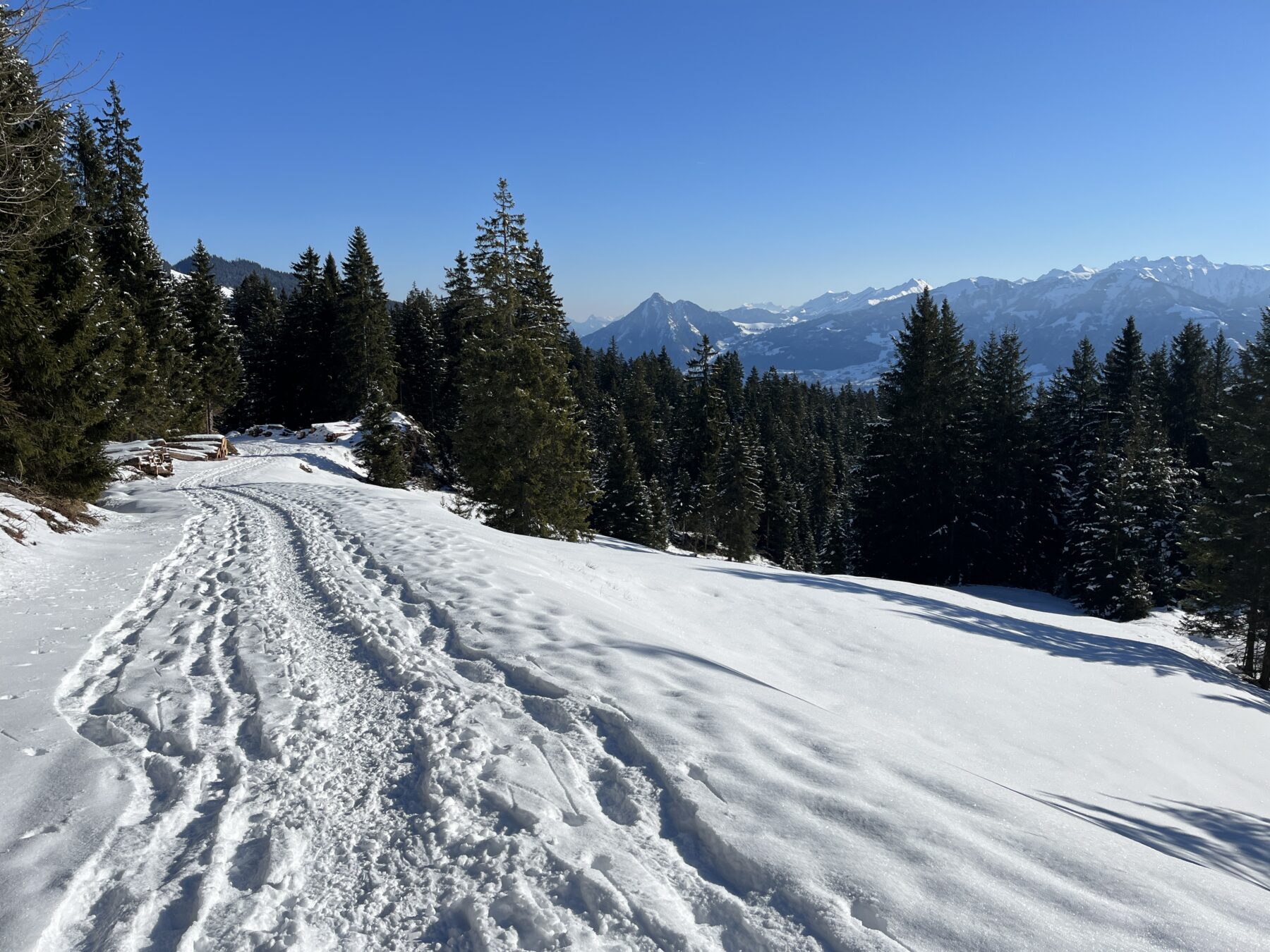 schneeschuhwanderung_jaenzi_