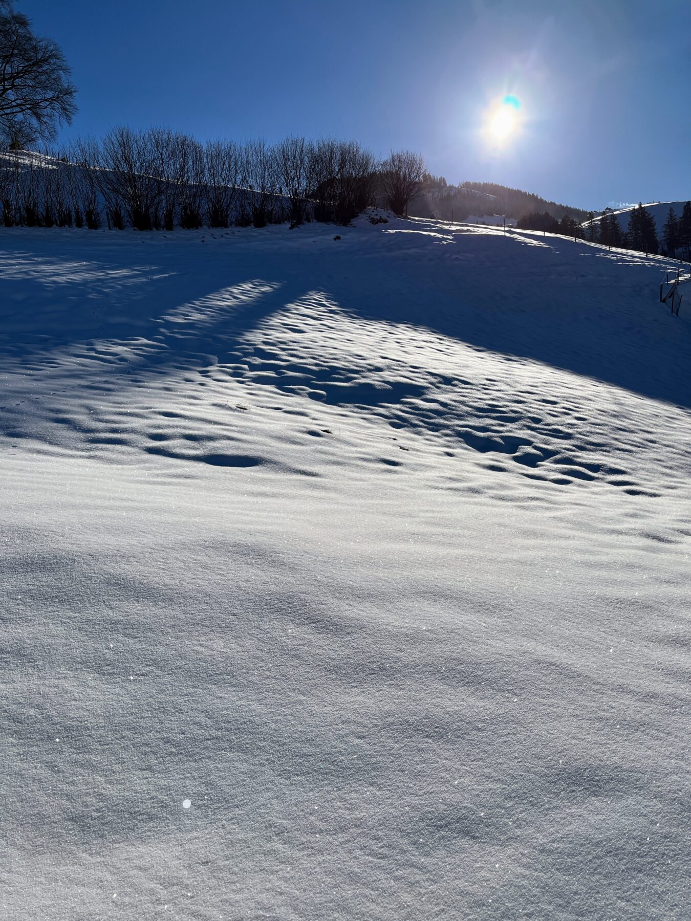 schneeschuhwanderung_rothenturm_ruchegg__IMG_0779