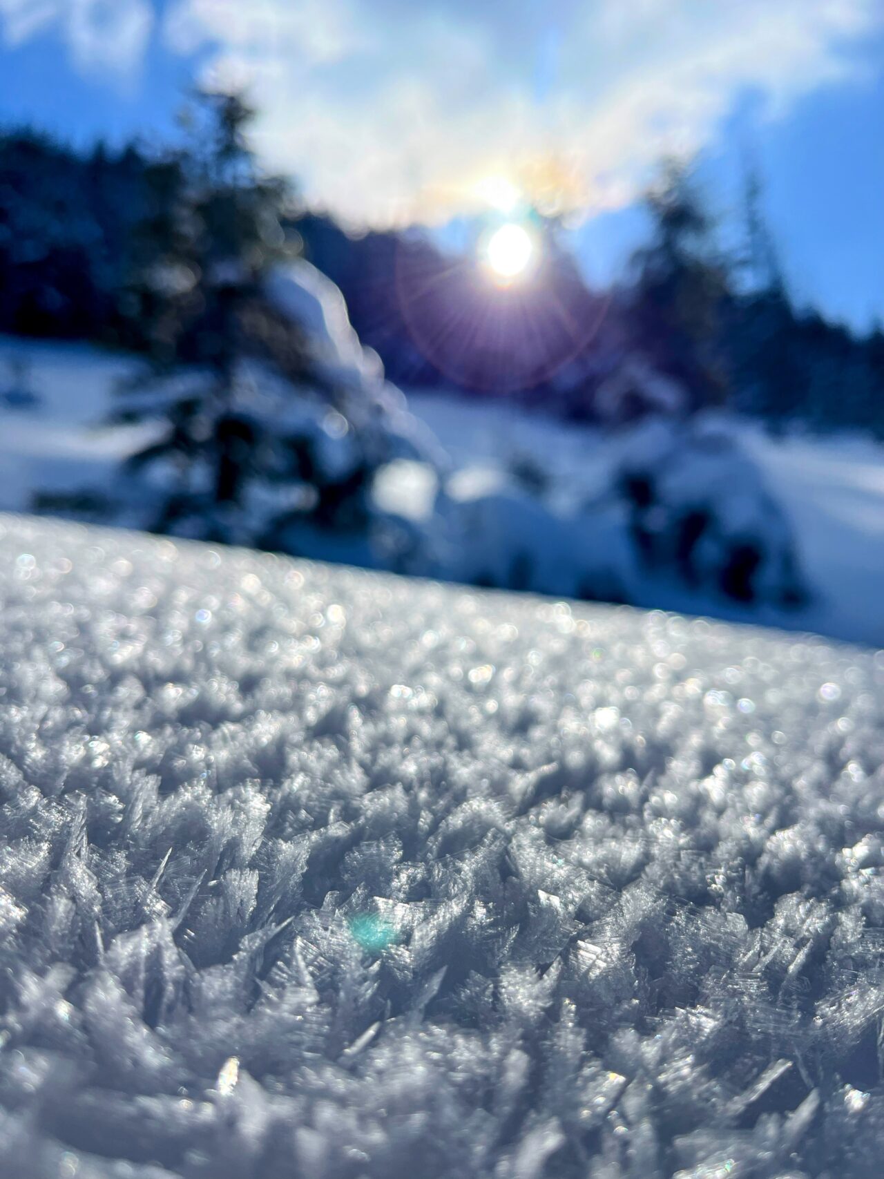 schneeschuhwandern-jaenzi-_IMG_9588 (Kopie)