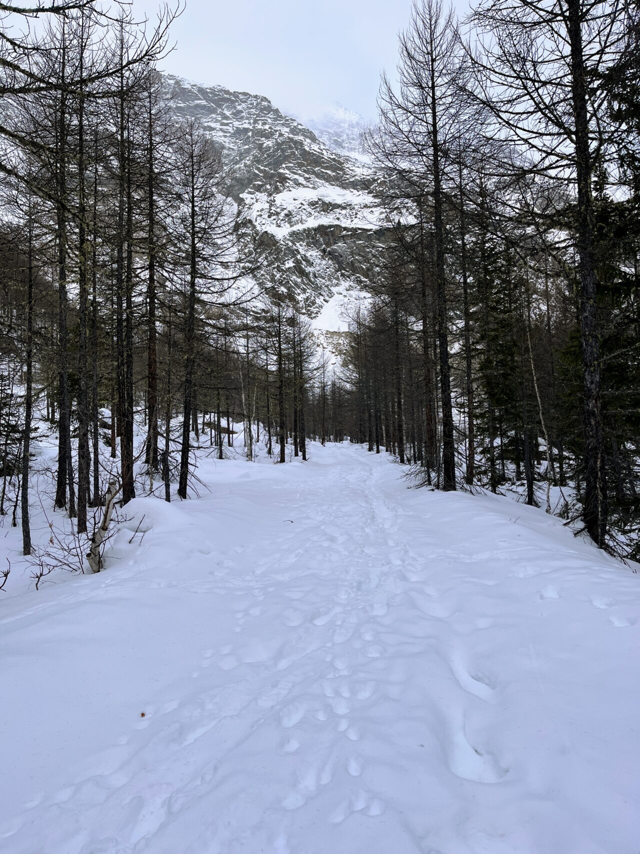 winterwanderung-gletschergrotte-_IMG_9086