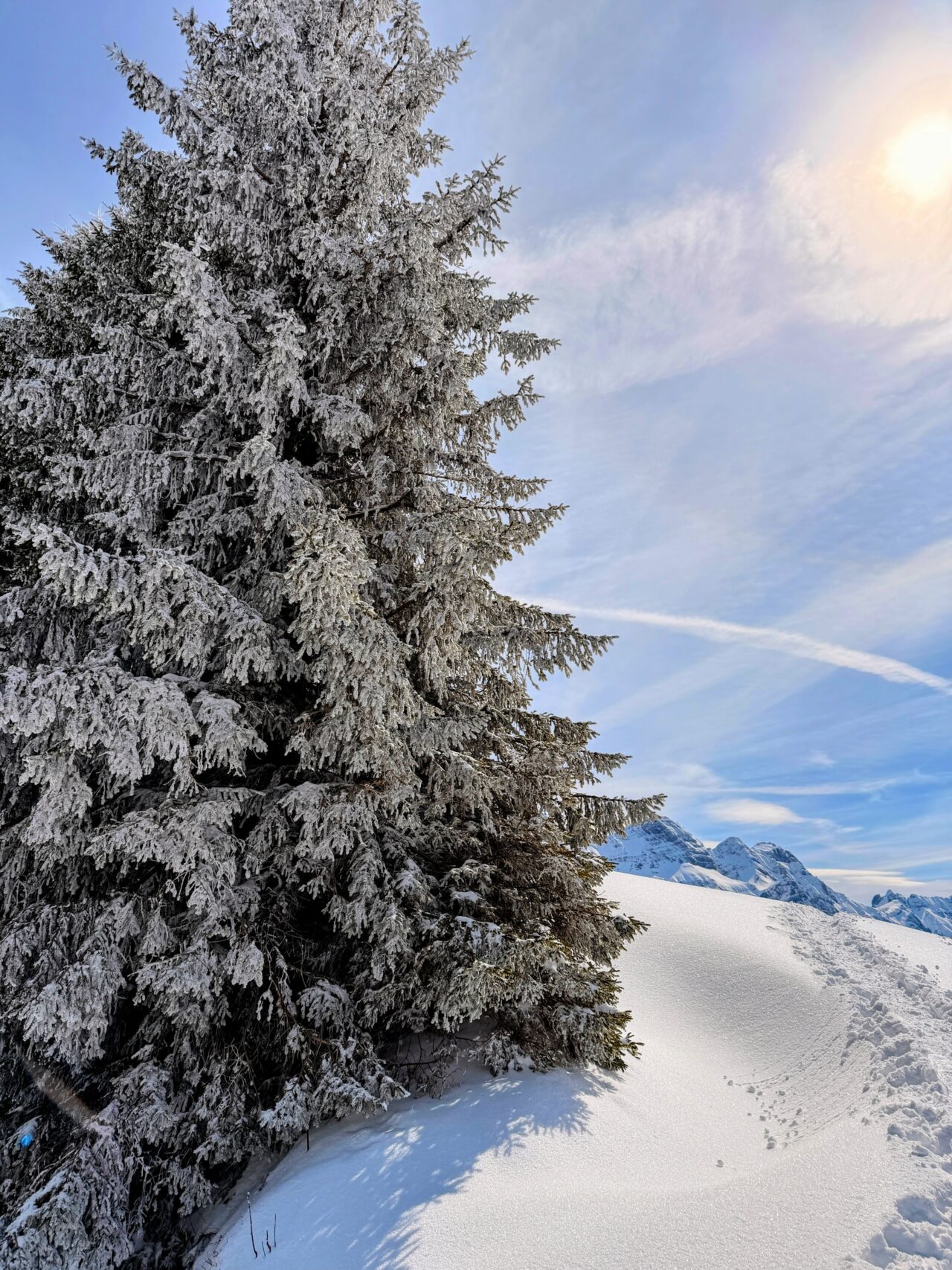 schneeschuhtour_lehmen_kronberg_chammhaldenhuette_schwaegalp__IMG_1384