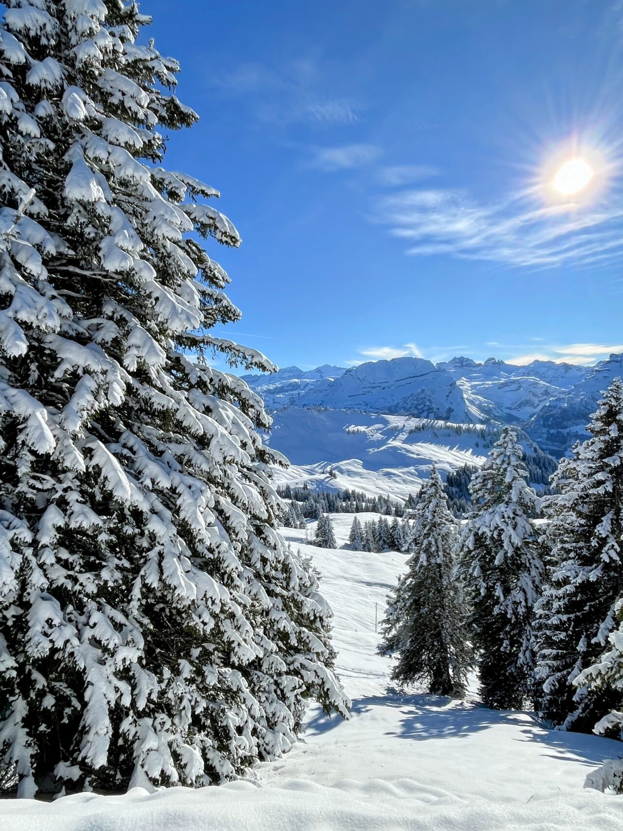 schneeschuhtour_laucherenstoeckli_ibergeregg_brunni__IMG_5787