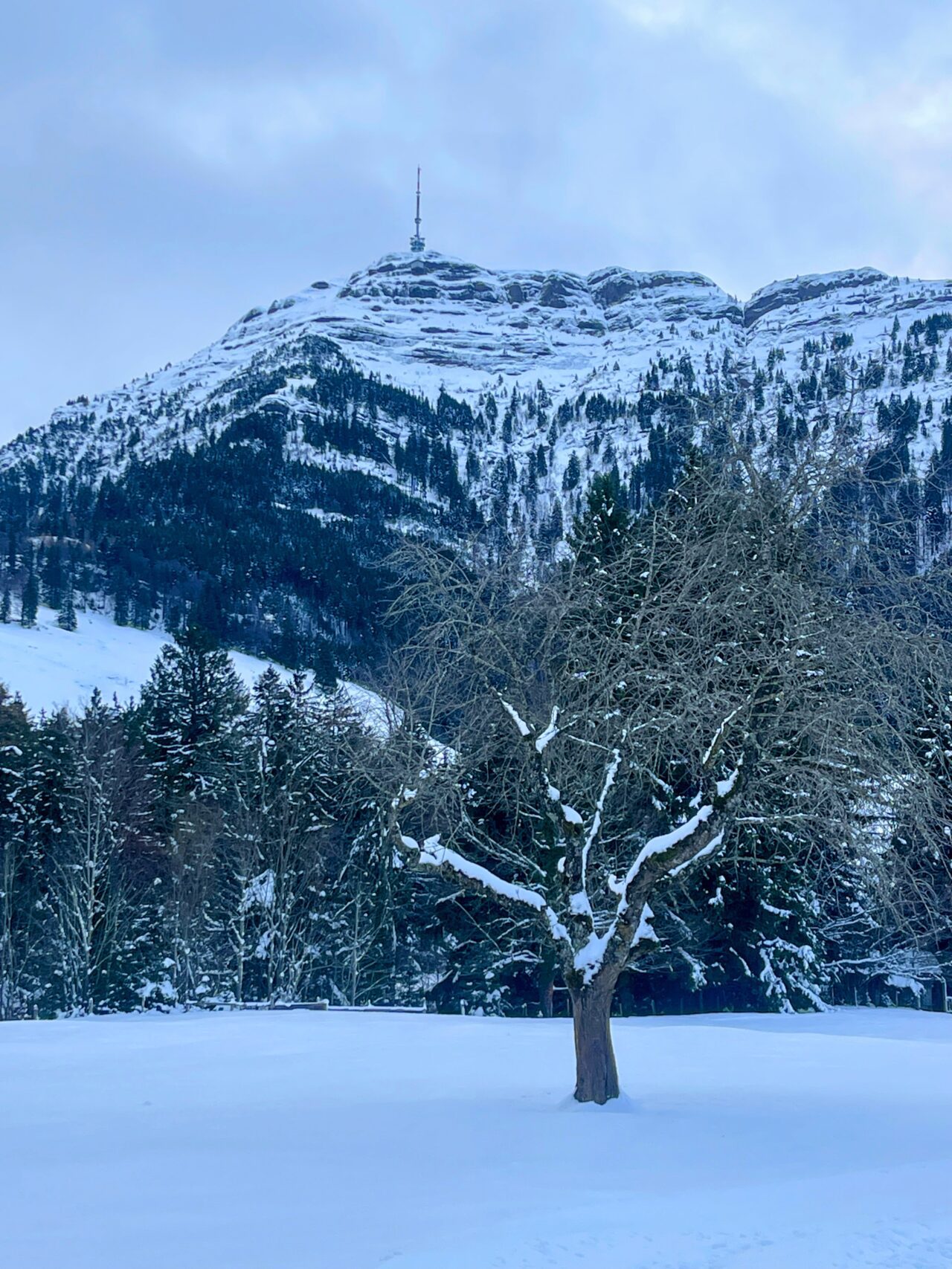 schneeschuhwanderung-seebodenalp-rigistaffel-rotstock-chaenzeli-_IMG_8086