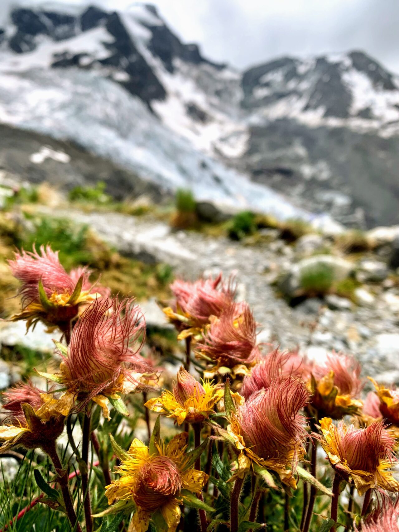 wanderung_tschiervahuette_