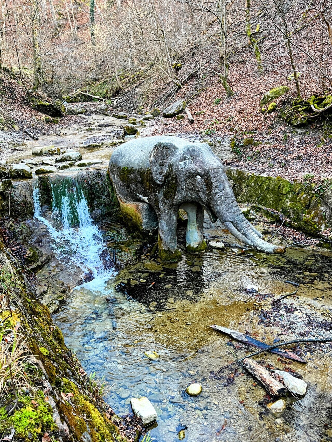 wanderung_zürich_loorenkopf_