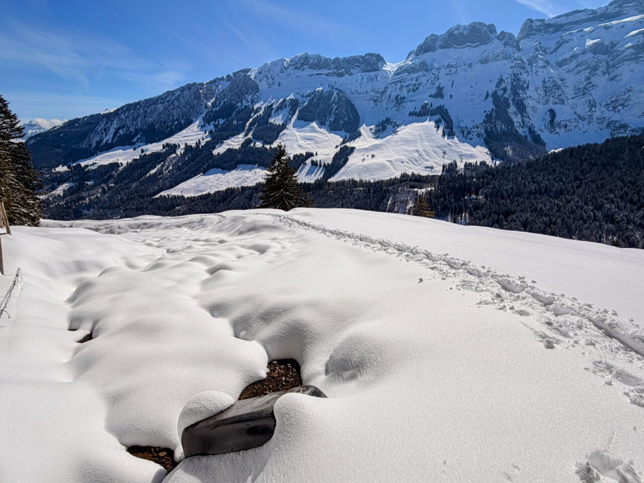 schneeschuhtour_lehmen_kronberg_chammhaldenhuette_schwaegalp__IMG_1339