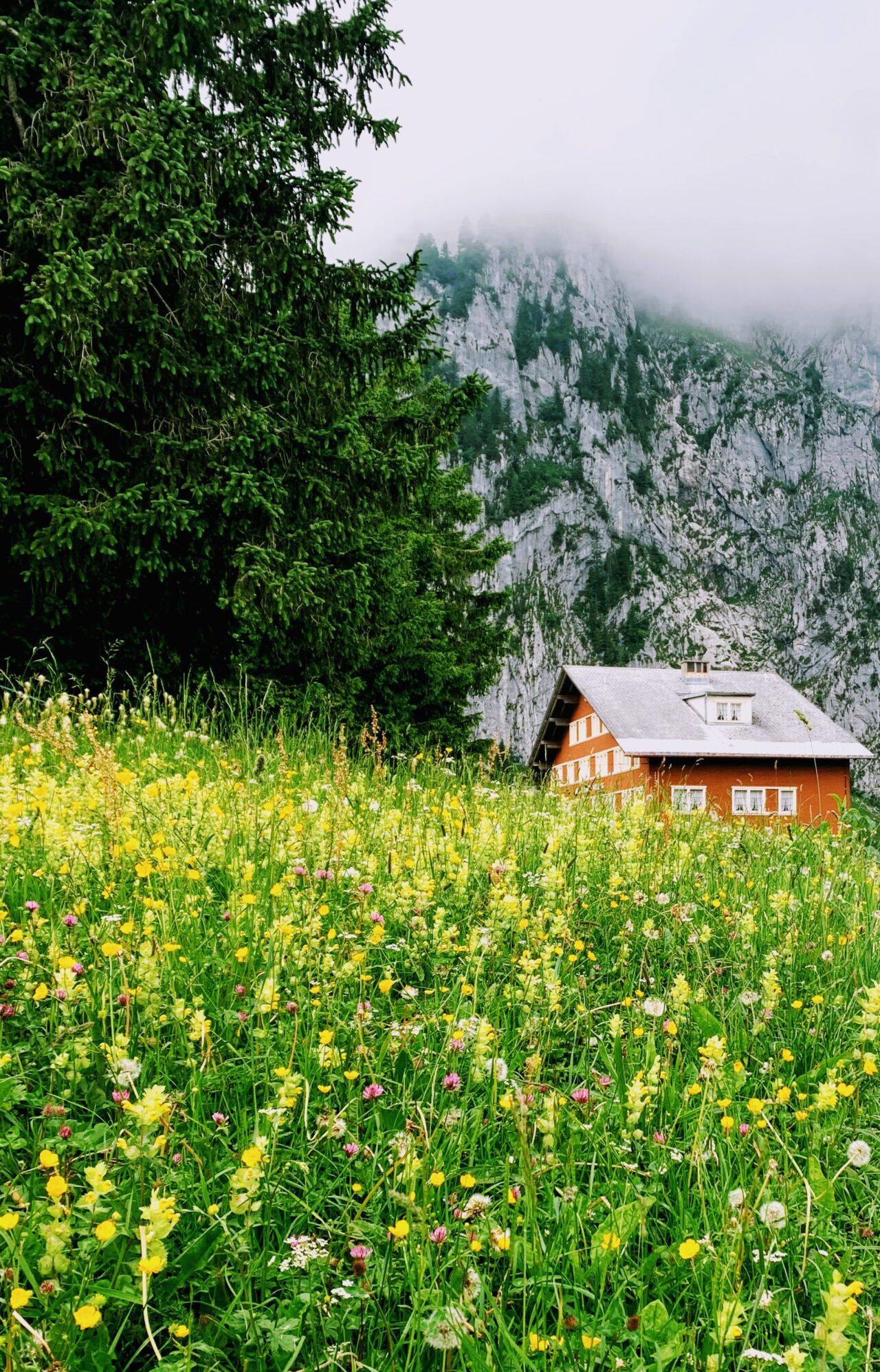 wanderung_7_egg_hoch_ybrig_