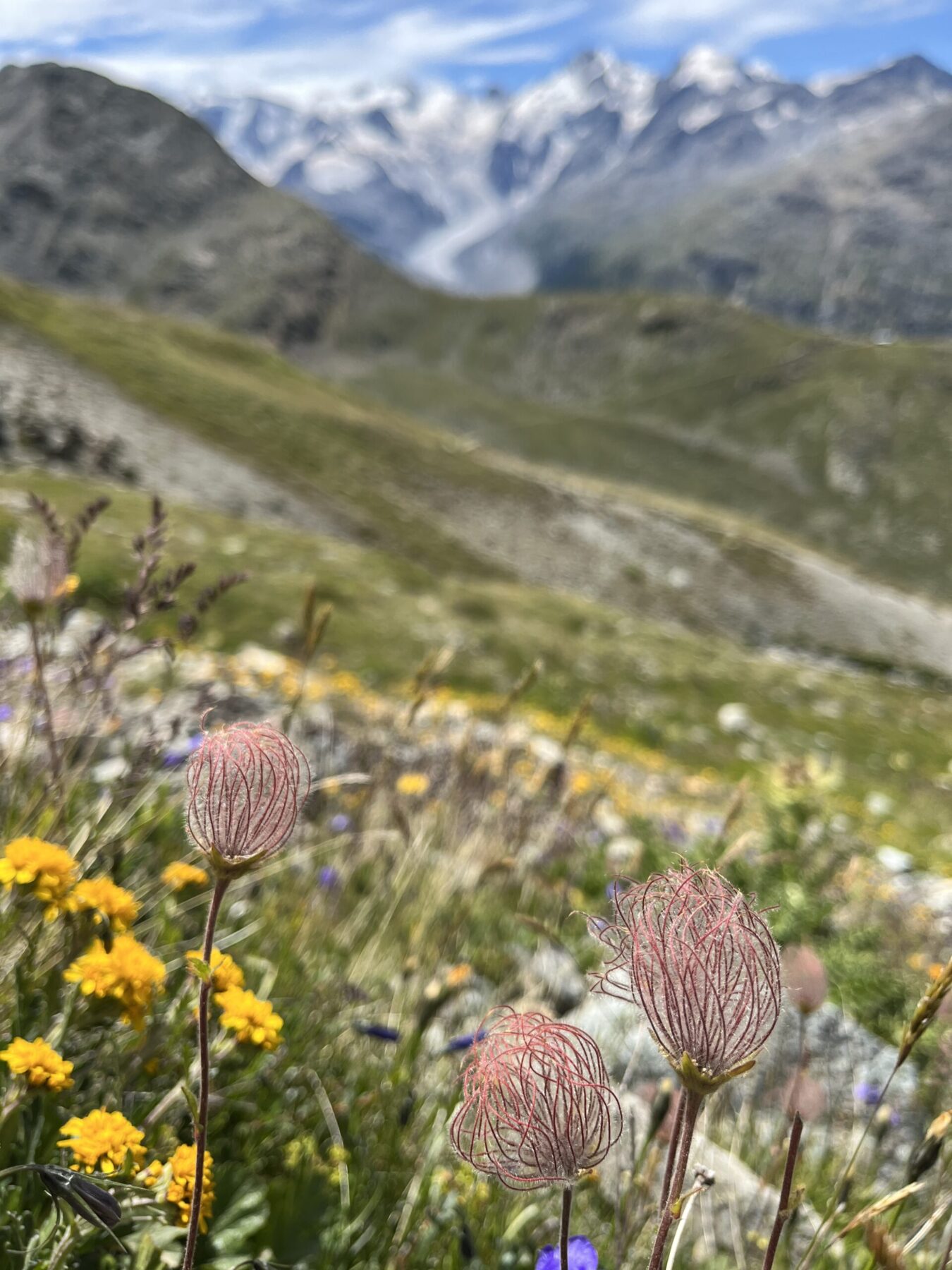 wanderung_alp_languard_piz_languard_