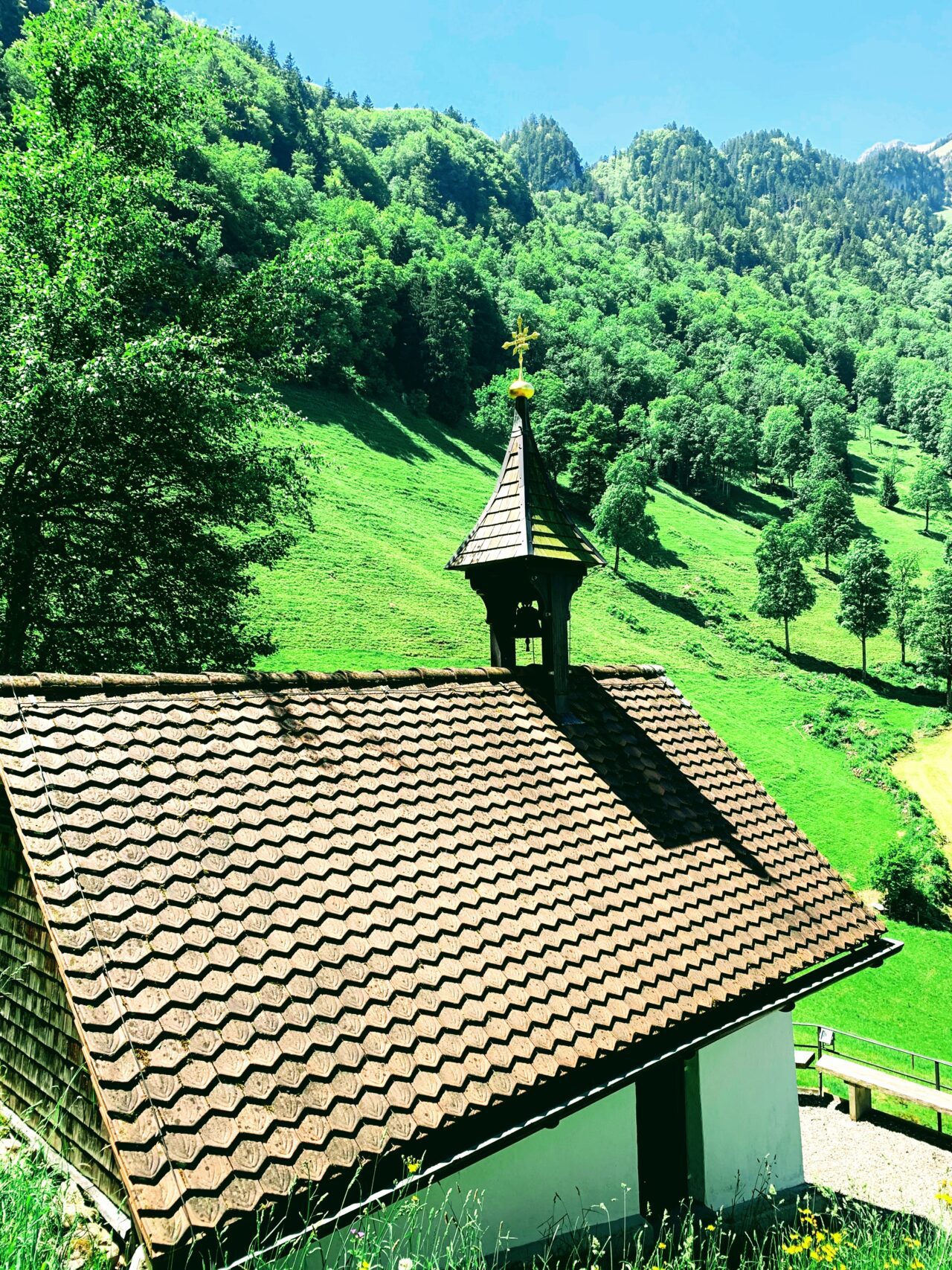 wanderung_vierwaldstaettersee_luzern_alpnachstad_