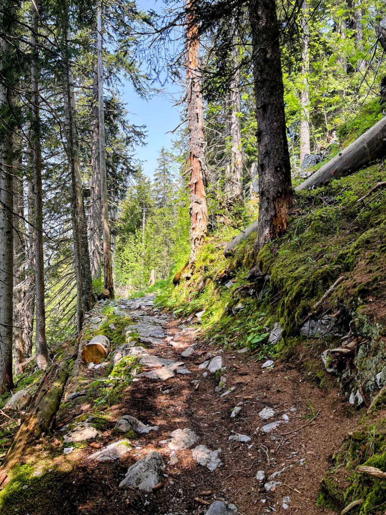 wanderung_engelberg_brunni_bannalp_walenpfad_