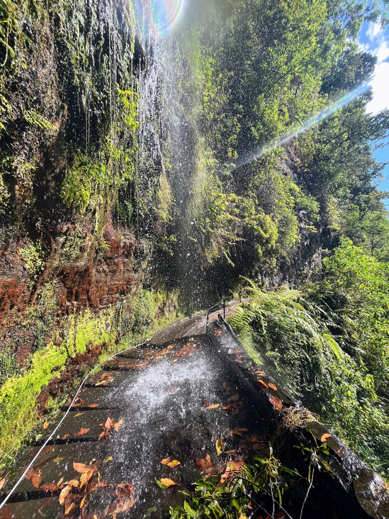 wanderung_levada_do_rei_pr18_