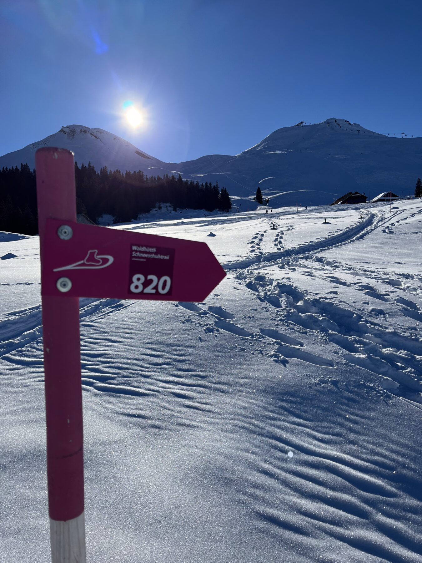 schneeschuhwandern_stoos__IMG_0044