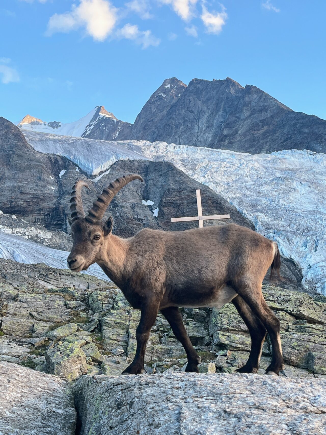wanderung_bordierhütte_