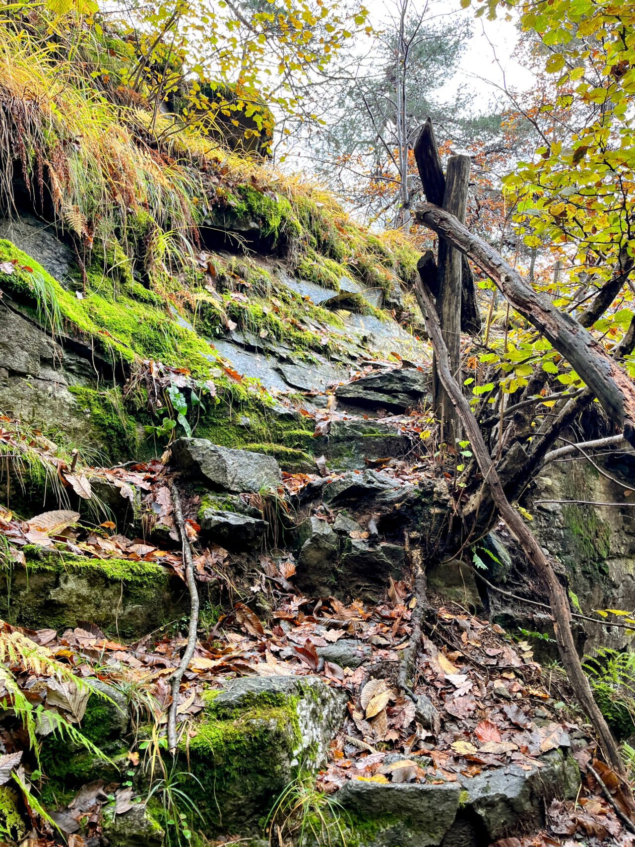 trans-swiss-trail-etappe-26-27-faido-biasca-