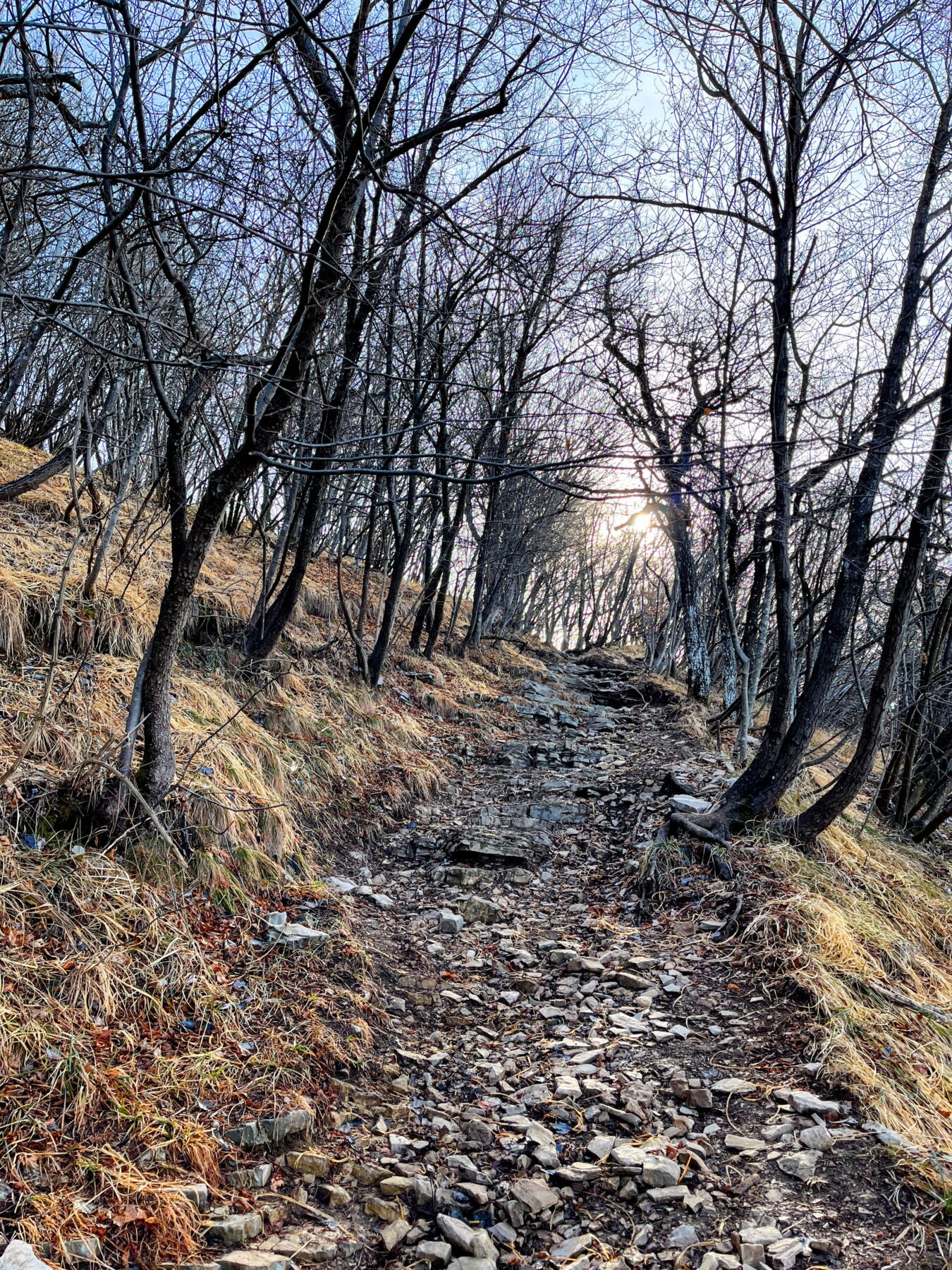 wanderung_transswiss_etappen_29_bis_32_bellinzona_mendrisio_