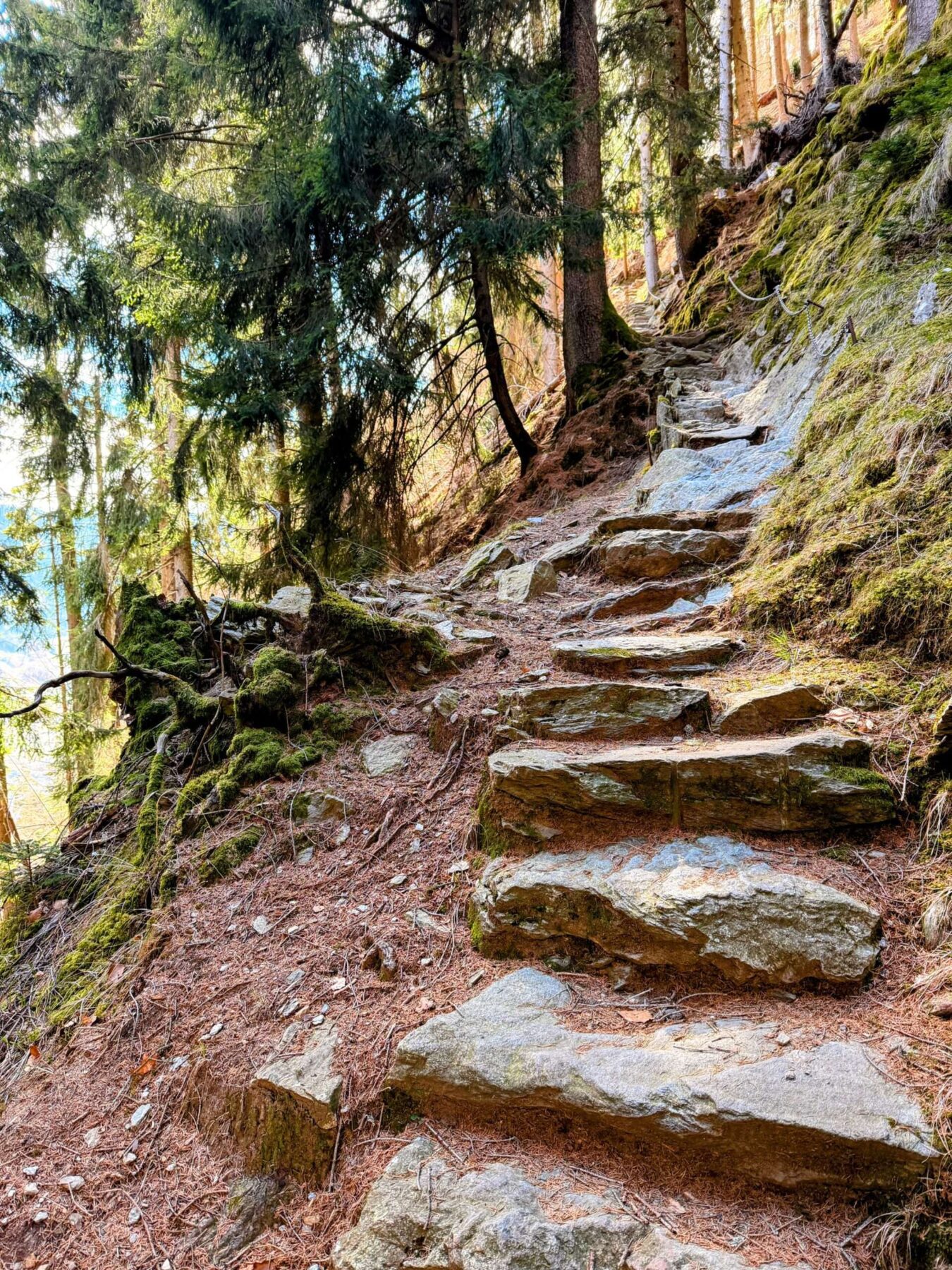 wanderung_Meraner_hoehenweg_hochmuth_mutthoefe_longfall_saltaus_