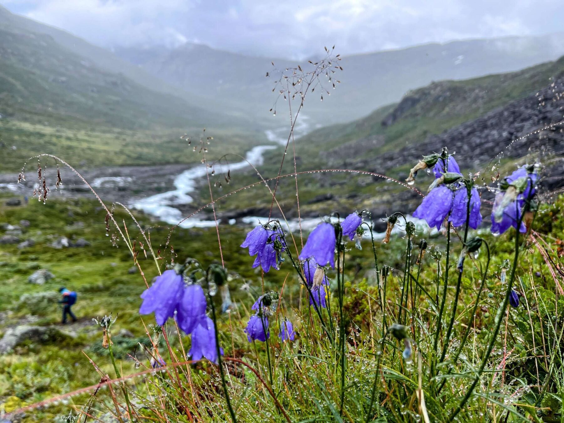 jotunheimen_wanderung_leirvassbu_gjendebu_