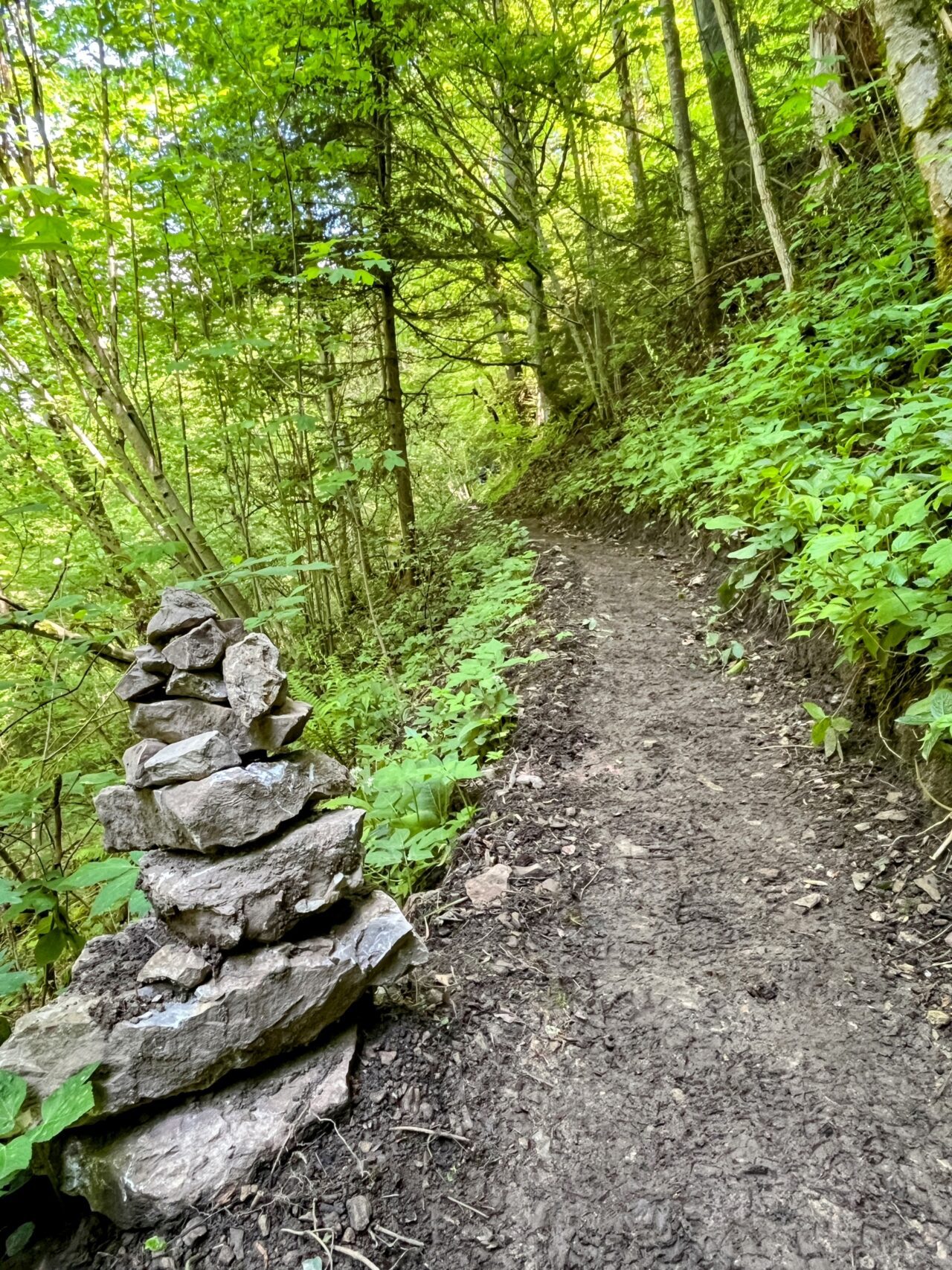 wanderung_schluchtensteig_schwarzwald_
