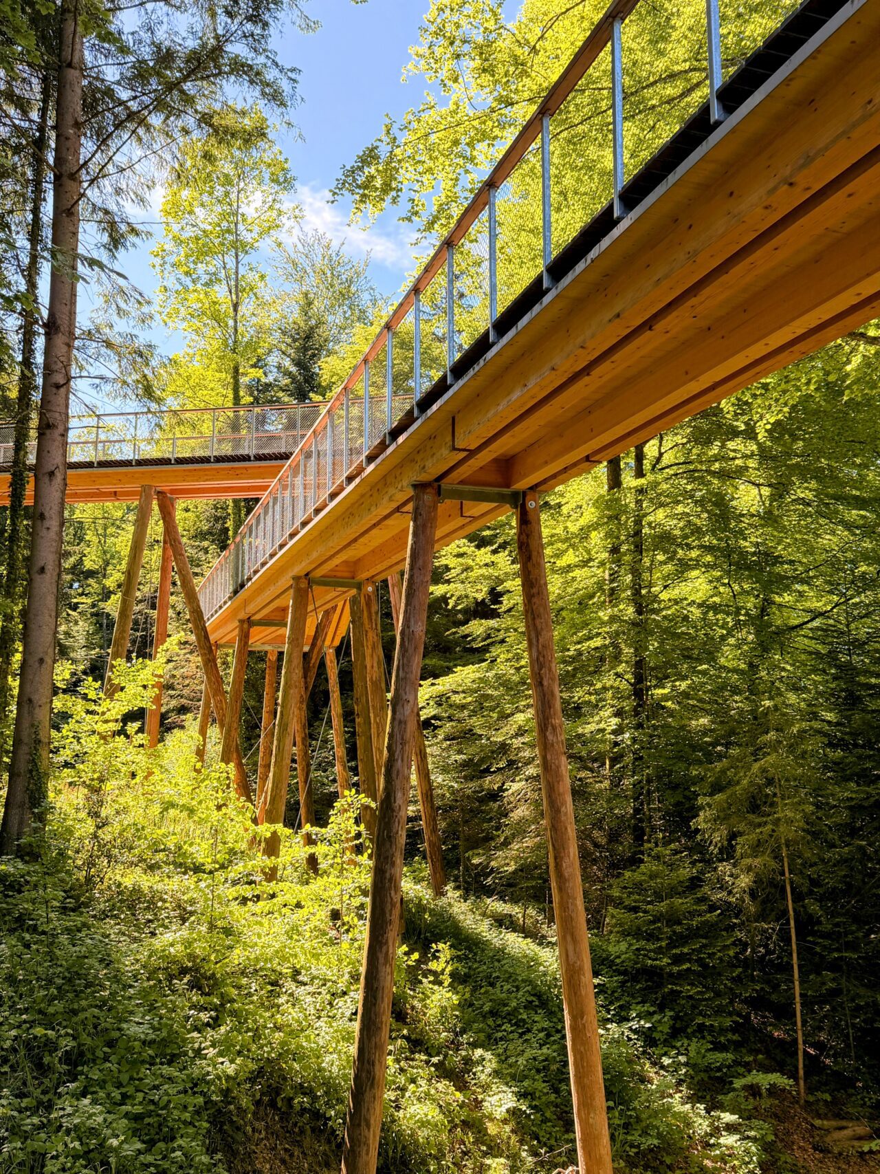 wanderung_lorzentobel_