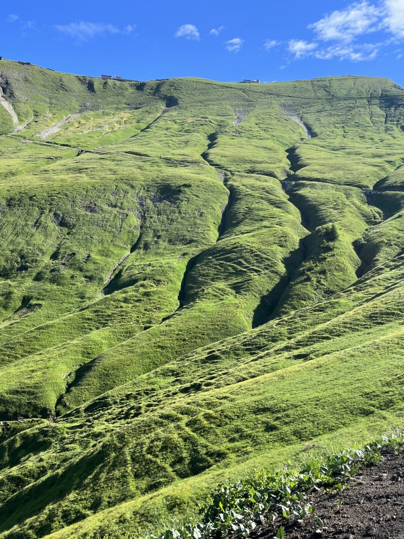 wanderung_brienzer_rothorn_