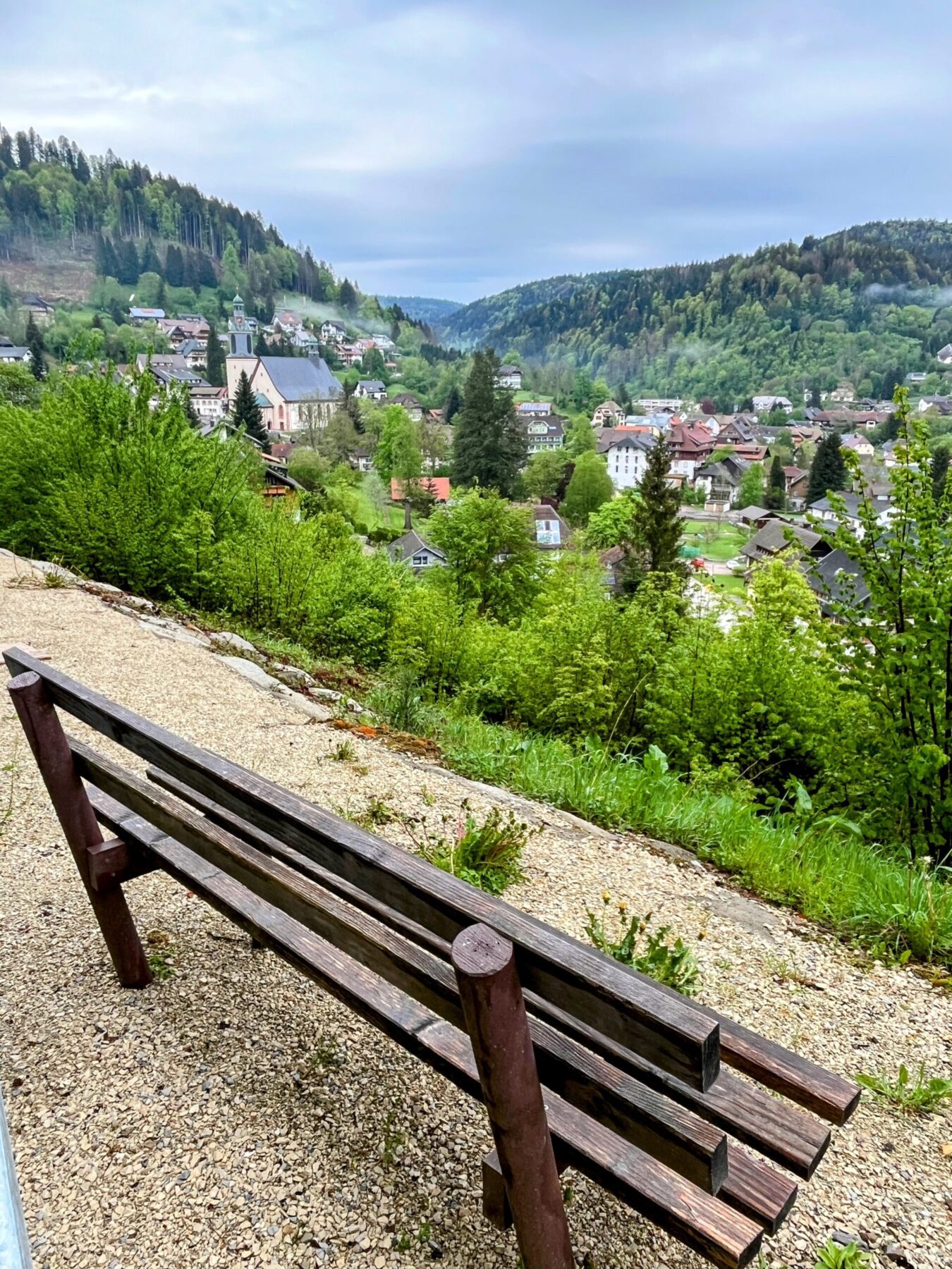 wanderung_schluchtensteig_schwarzwald_