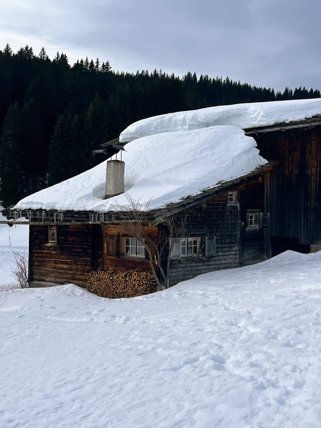 schneeschuhwanderung_grüsch_furna__IMG_4200