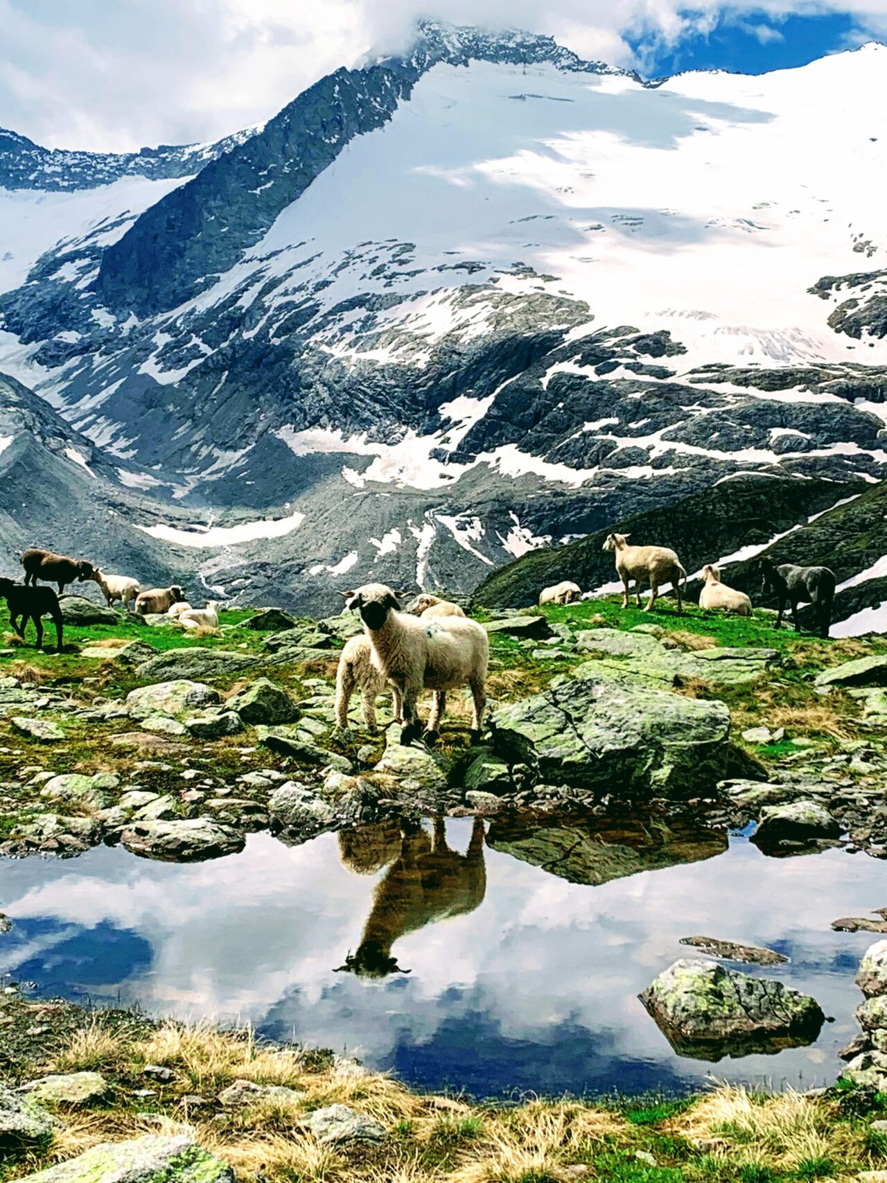 wanderung_gaulihuette_
