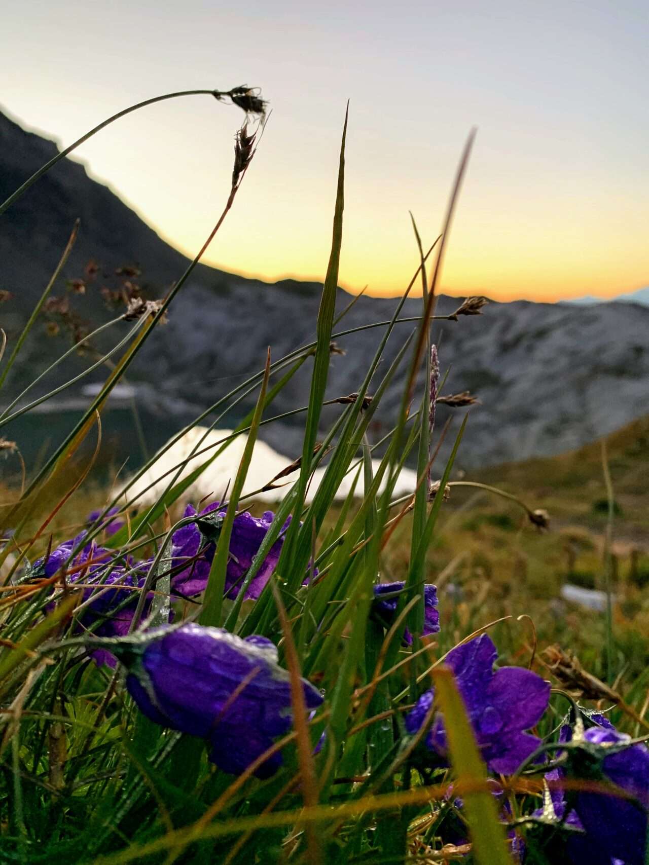 wanderung_tour_du_wildhorn_