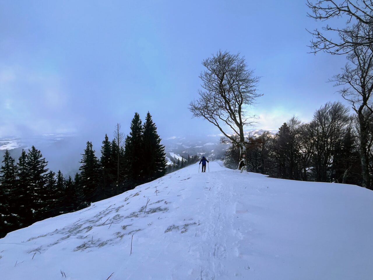 schneeschuhwanderung_schnebelhorn__IMG_2471