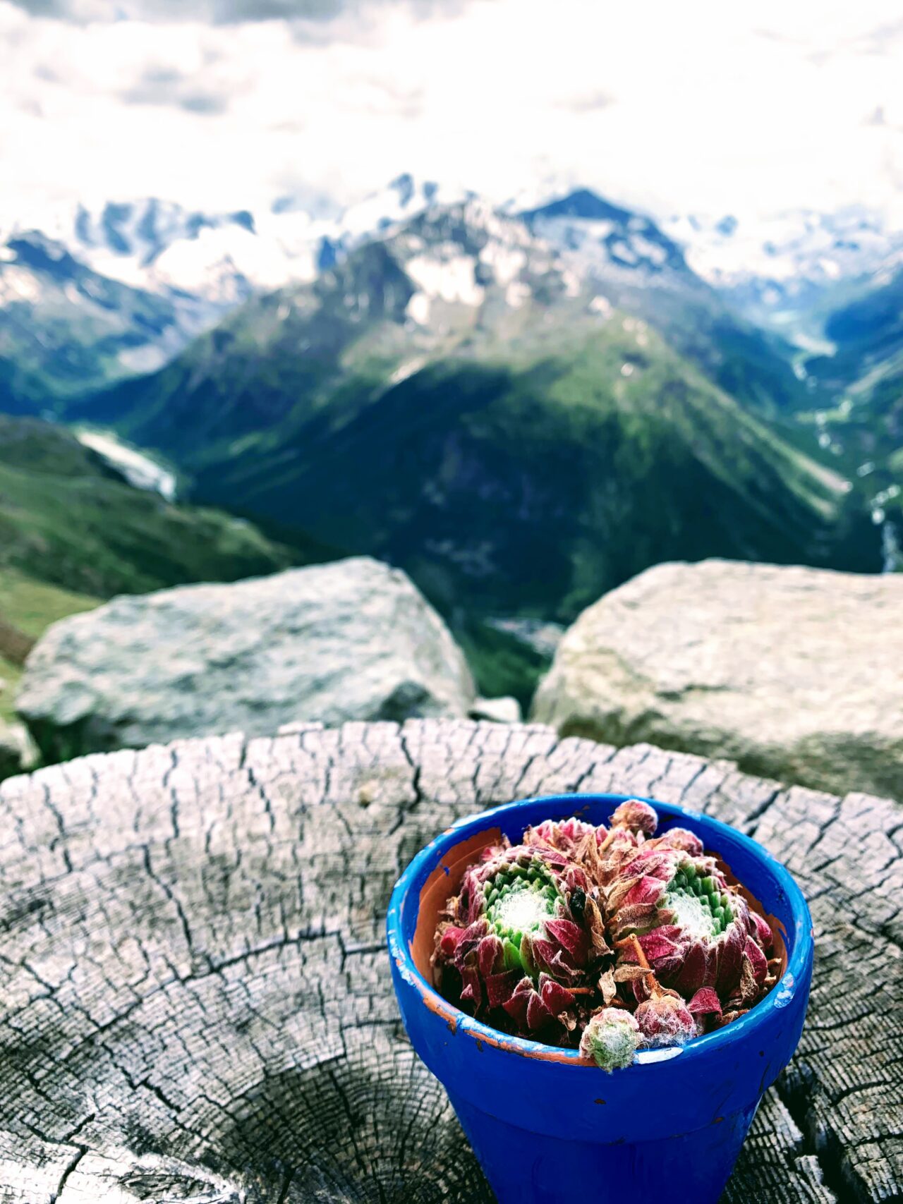 wanderung_segantinihuette_