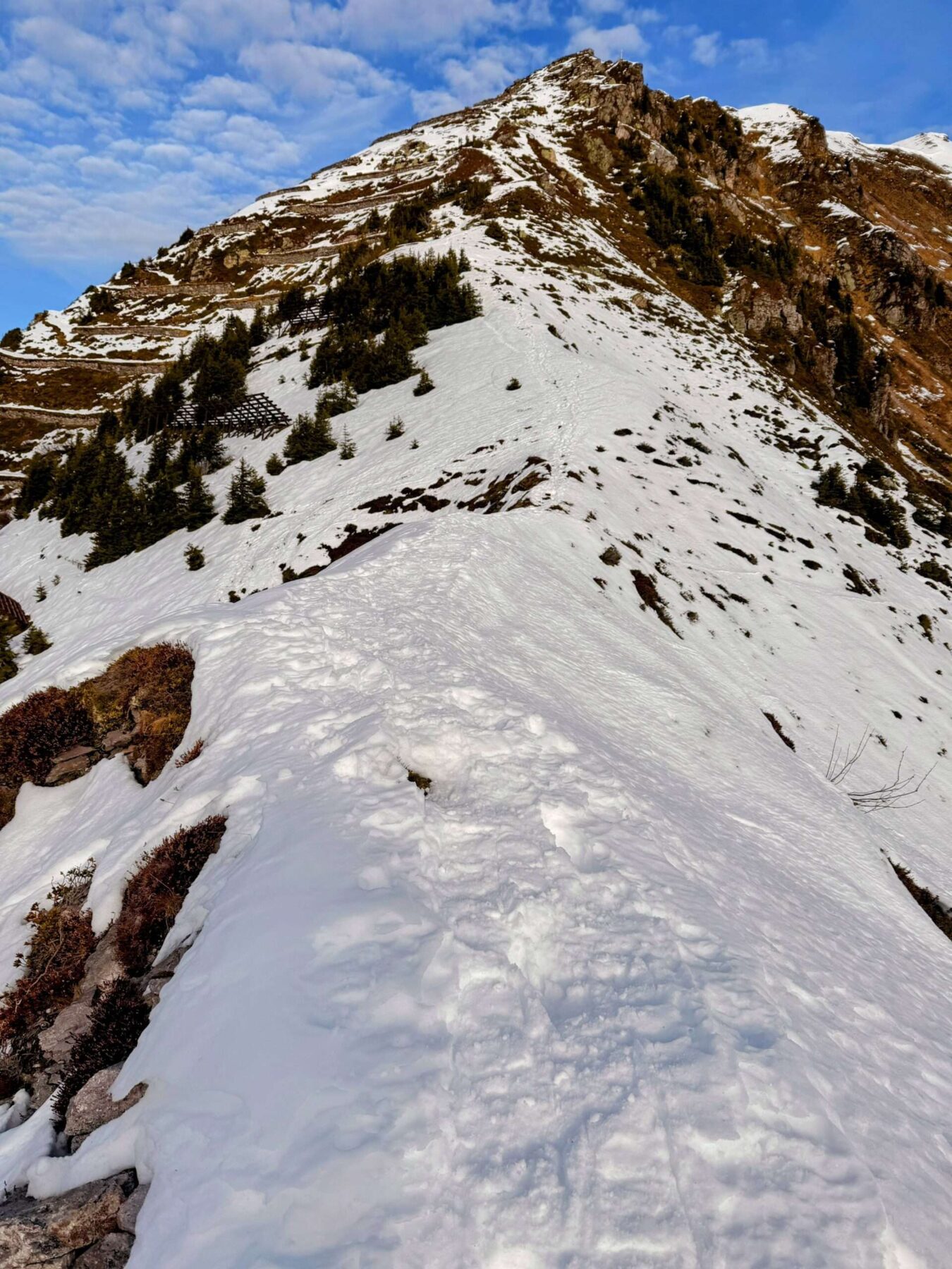 schneeschuhtour_matt_weissenberge_sunnenhöreli_