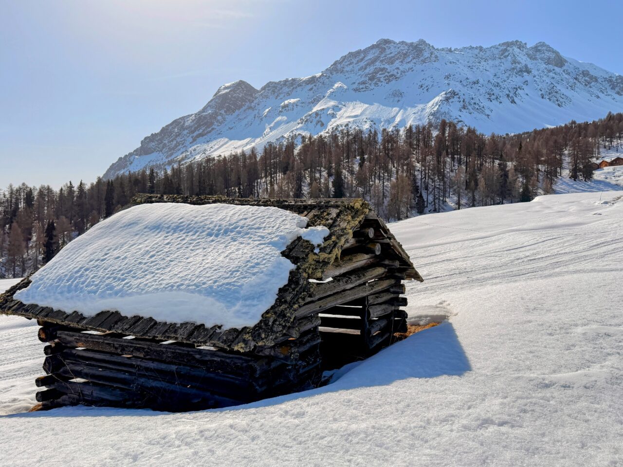 schneeschuhsafari_graubuenden_salouf_munter__IMG_0662