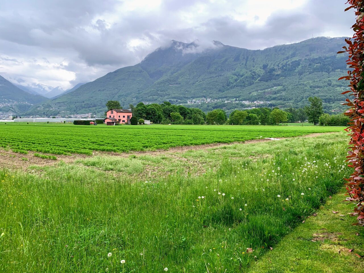 velotour_bellinzona_ascona__IMG_8088