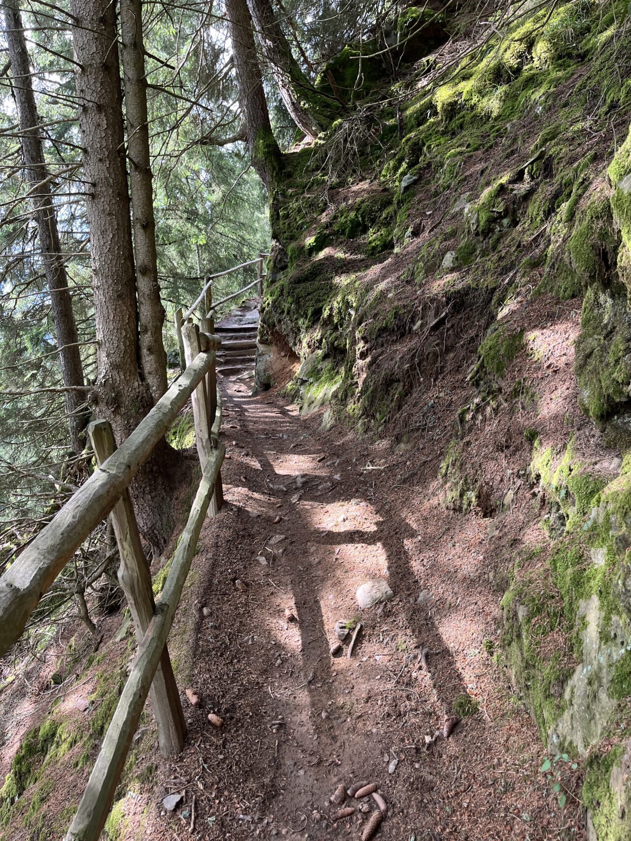 wanderung_Meraner_hoehenweg_hochmuth_nasereithuette_montferthof_