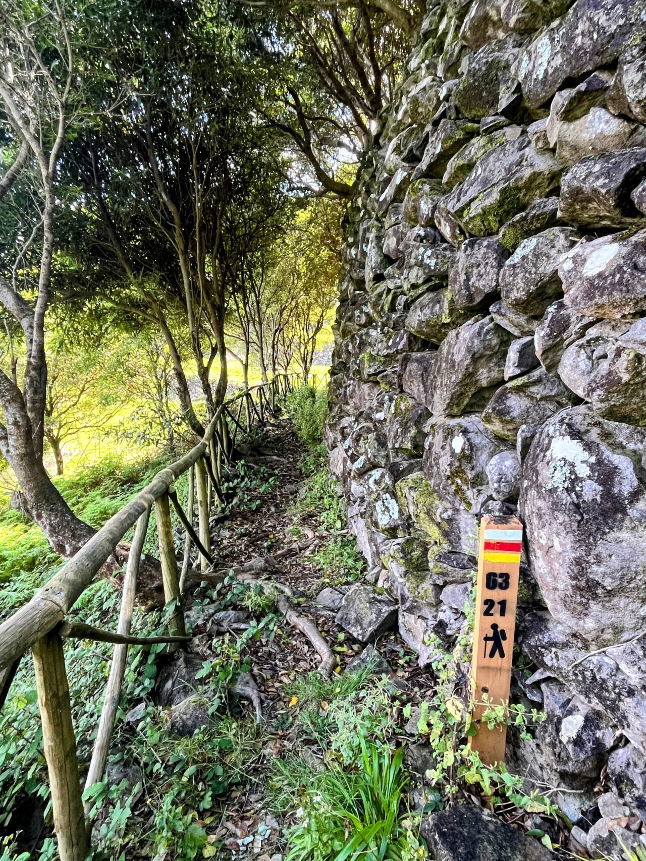 wanderung_ilha_a_pe_tag_3_lapa_norte_