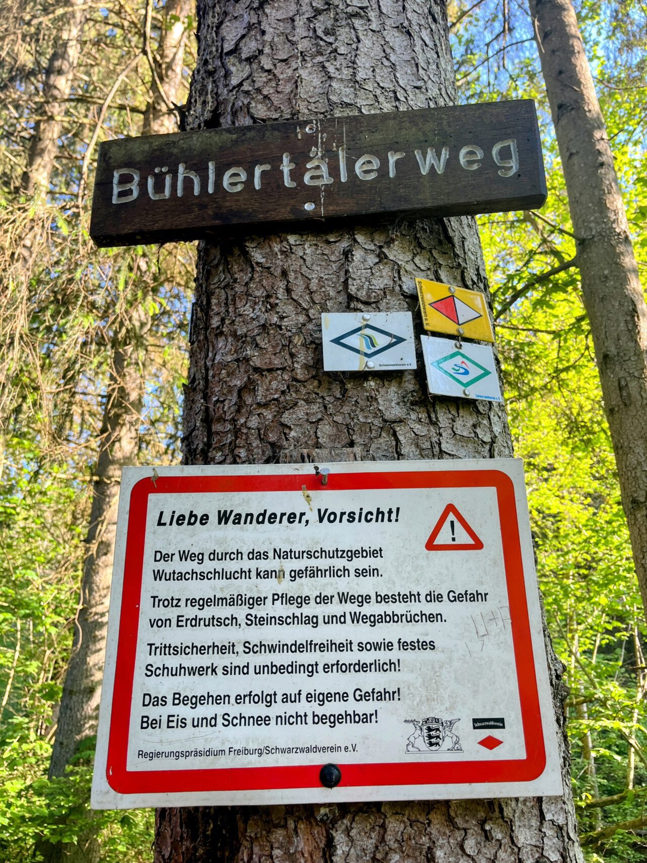 wanderung_schluchtensteig_schwarzwald_